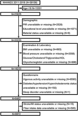 Association of Dietary <mark class="highlighted">Fiber Intake</mark> With Myocardial Infarction and Stroke Events in US Adults: A Cross-Sectional Study of NHANES 2011–2018
